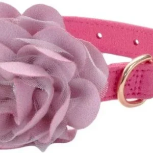 Coastal Pet Microfiber Dog Collar with Pink Accent Flower