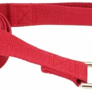 Coastal Pet New Earth Soy Dog Lead Cranberry Red
