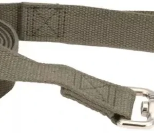 Coastal Pet New Earth Soy Dog Lead Forest Green