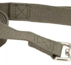Coastal Pet New Earth Soy Dog Lead Forest Green