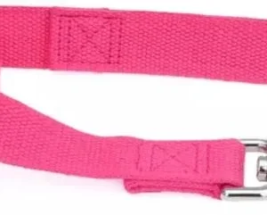 Coastal Pet New Earth Soy Dog Lead Fuchsia