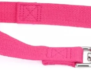 Coastal Pet New Earth Soy Dog Lead Fuchsia