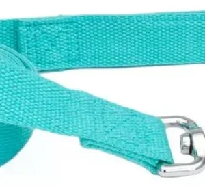Coastal Pet New Earth Soy Dog Lead Mint Green
