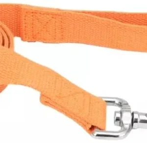 Coastal Pet New Earth Soy Dog Lead Pumpkin Orange