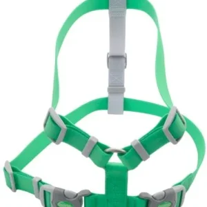 Coastal Pet Pro Waterproof Dog Harness 1" Wide Lime - Large