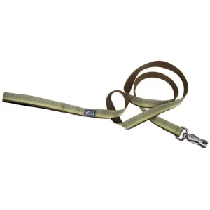 Coastal Pet Products K9 Explorer Reflective Dog Leash With Scissor Snap, 5/8 Inchx6 Fern Green