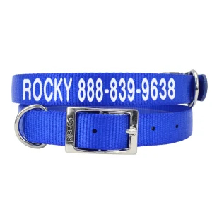 Coastal Pet Products Personalized Dog Collar