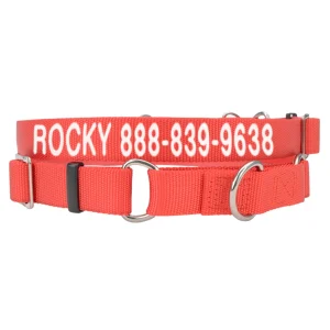 Coastal Pet Products Personalized Martingale Dog Collar