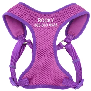 Coastal Pet Products Personalized Two-Tone Comfort Soft Wrap Small Dog Harness