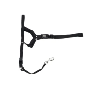 Coastal Pet Products Walk 'n Train Dog Head Halter, Black, XL