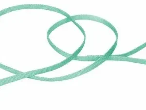 Coastal Pet Single-ply Nylon Dog Leash Teal