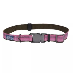Coastal Products K9 Explorer Reflective Adjustable Dog Collar Rosebud
