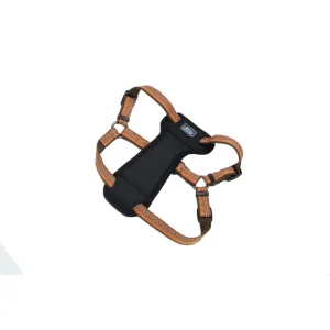 Coastal Products K9 Explorer Reflective Adjustable Padded Dog Harness Campfire Orange