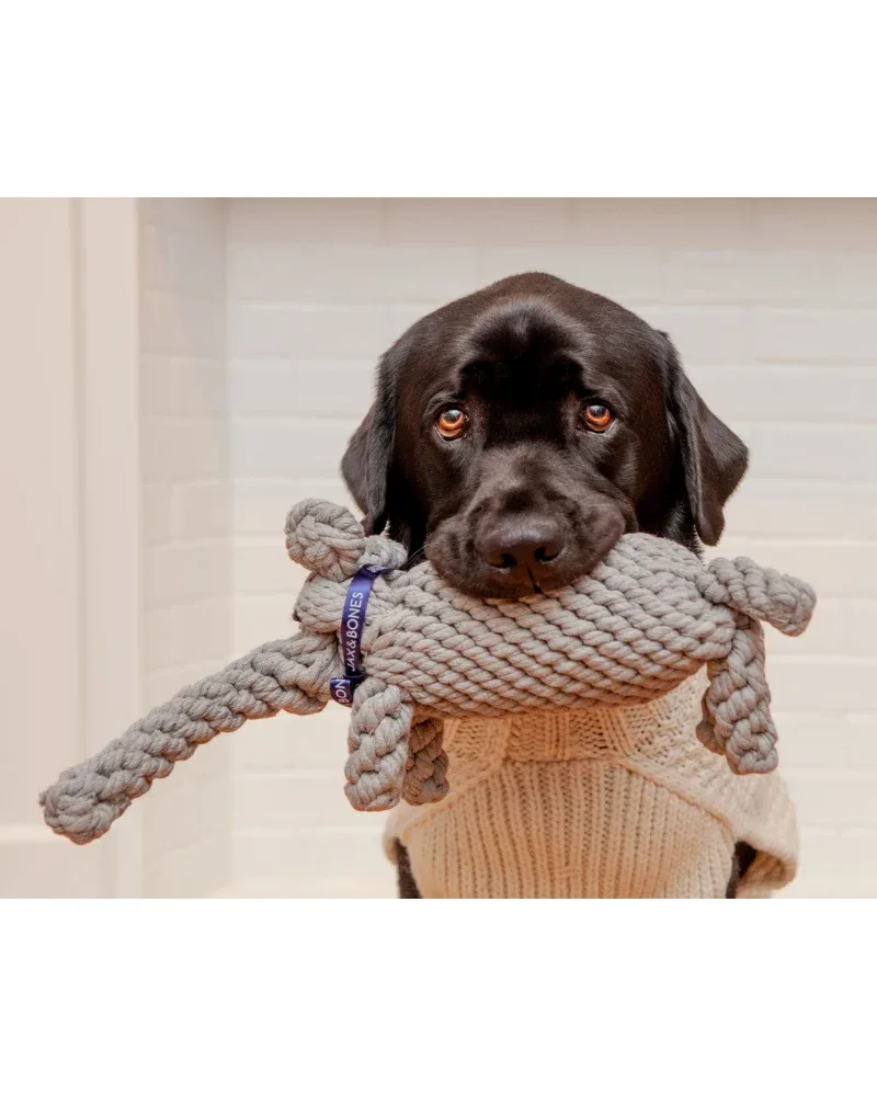 Coco the Elephant Rope Dog Toy - Image 2