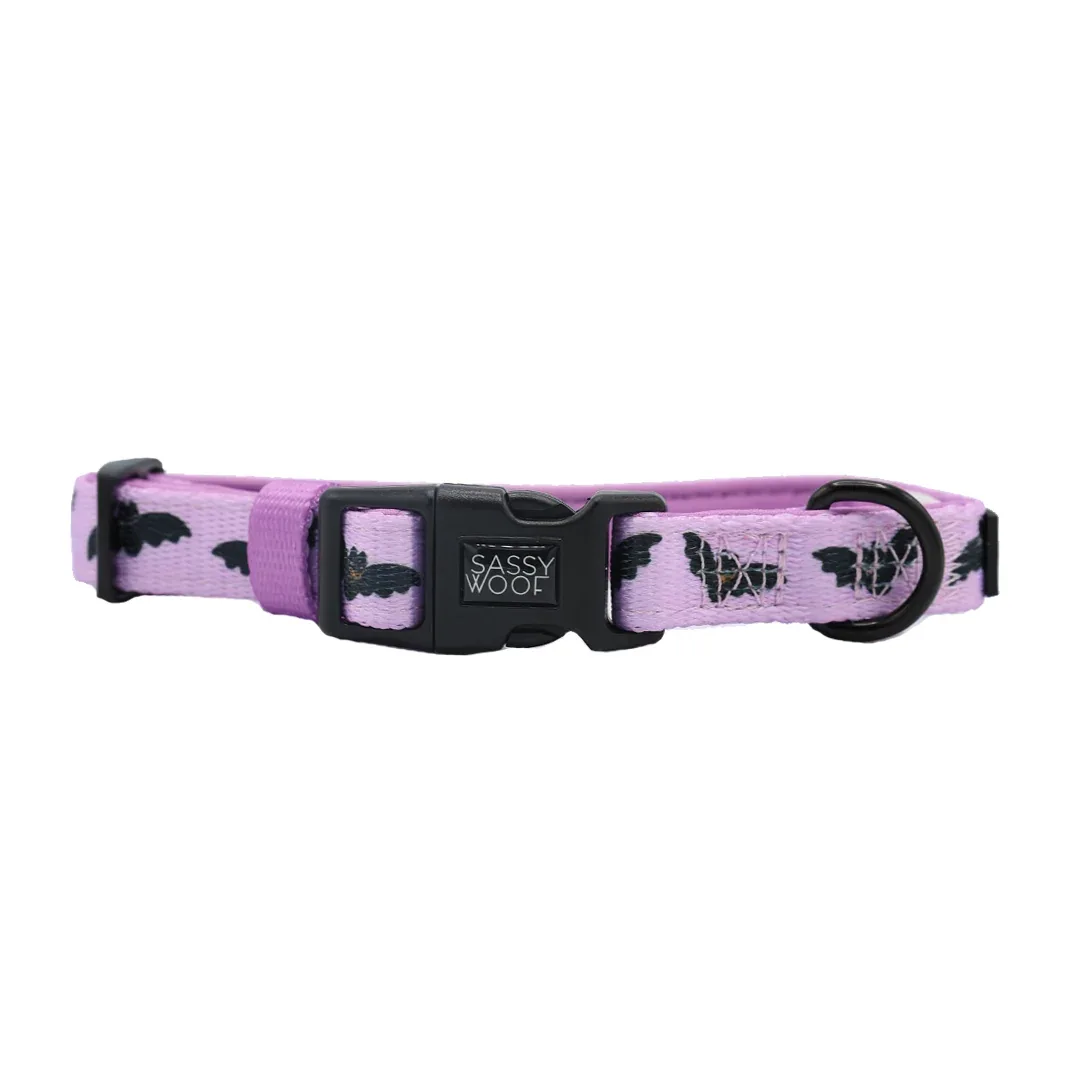 Collar - Lil Batty - Image 2