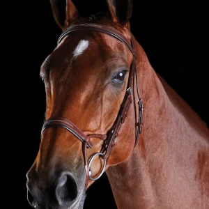 Collegiate® ComFiTec™ Fancy-Stitched Bridle