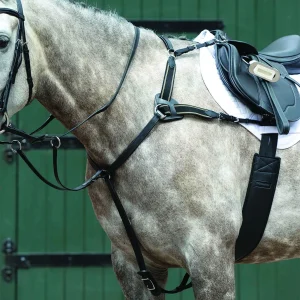 Collegiate® Essential 5-Point Breastplate
