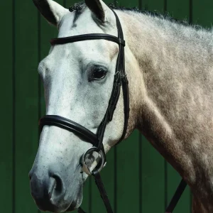 Collegiate® Essential Padded Raised Caveson Bridle