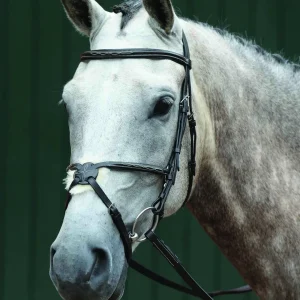 Collegiate® Essential Padded Raised Fancy-Stitched Figure-8 Bridle