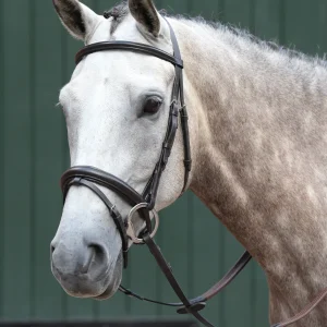 Collegiate® Essential Padded Raised Flash Bridle