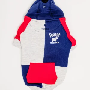 Colorblock Hoodie in Navy (FINAL SALE)