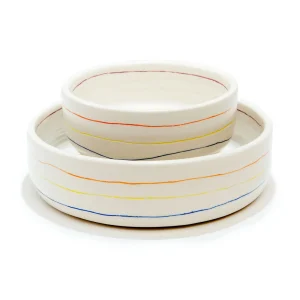 Colorful Stripe Bowl (Dog & Co. Exclusive)