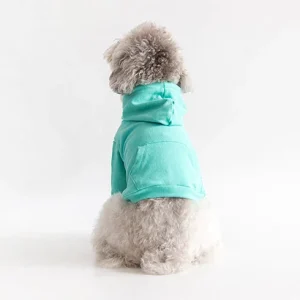 COTE A COTE | Crop Hoodie in Mint