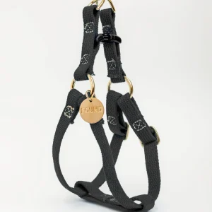 Cotton Webbing Dog Harness in Black (Made in the USA) (FINAL SALE)