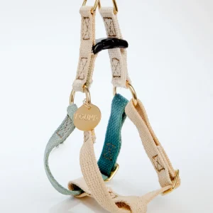 Cotton Webbing Dog Harness in Catskill (Made in the USA)