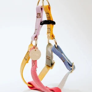 Cotton Webbing Dog Harness in Henri (Made in the USA)