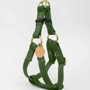 Cotton Webbing Dog Harness in Olive (Made in the USA) (FINAL SALE)