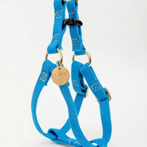 Cotton Webbing Dog Harness in Teal <>