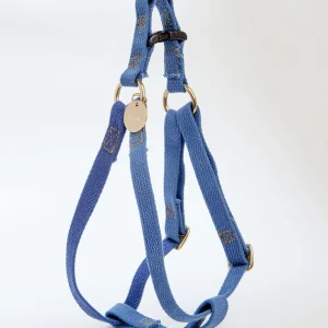 Cotton Webbing Harness in Brilliant Blue