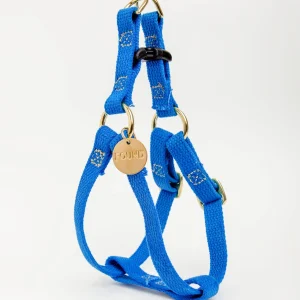 Cotton Webbing Harness in Cobalt Blue (FINAL SALE)