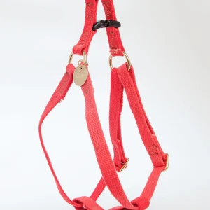 Cotton Webbing Harness in Coral