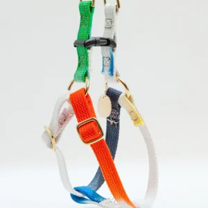 Cotton Webbing Harness in Dog & Co. Ombre