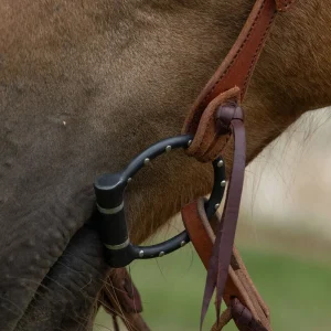 Cowboy Tack Lifesaver Dee Ring Snaffle Bit with Dots