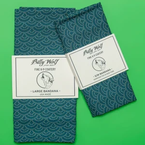 Coy Bandana