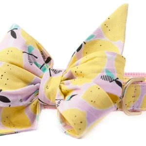 CREW LA LA | Belle Bow in Fresh Squeezed