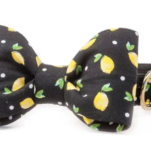 CREW LA LA | Tom Collins Bow Tie