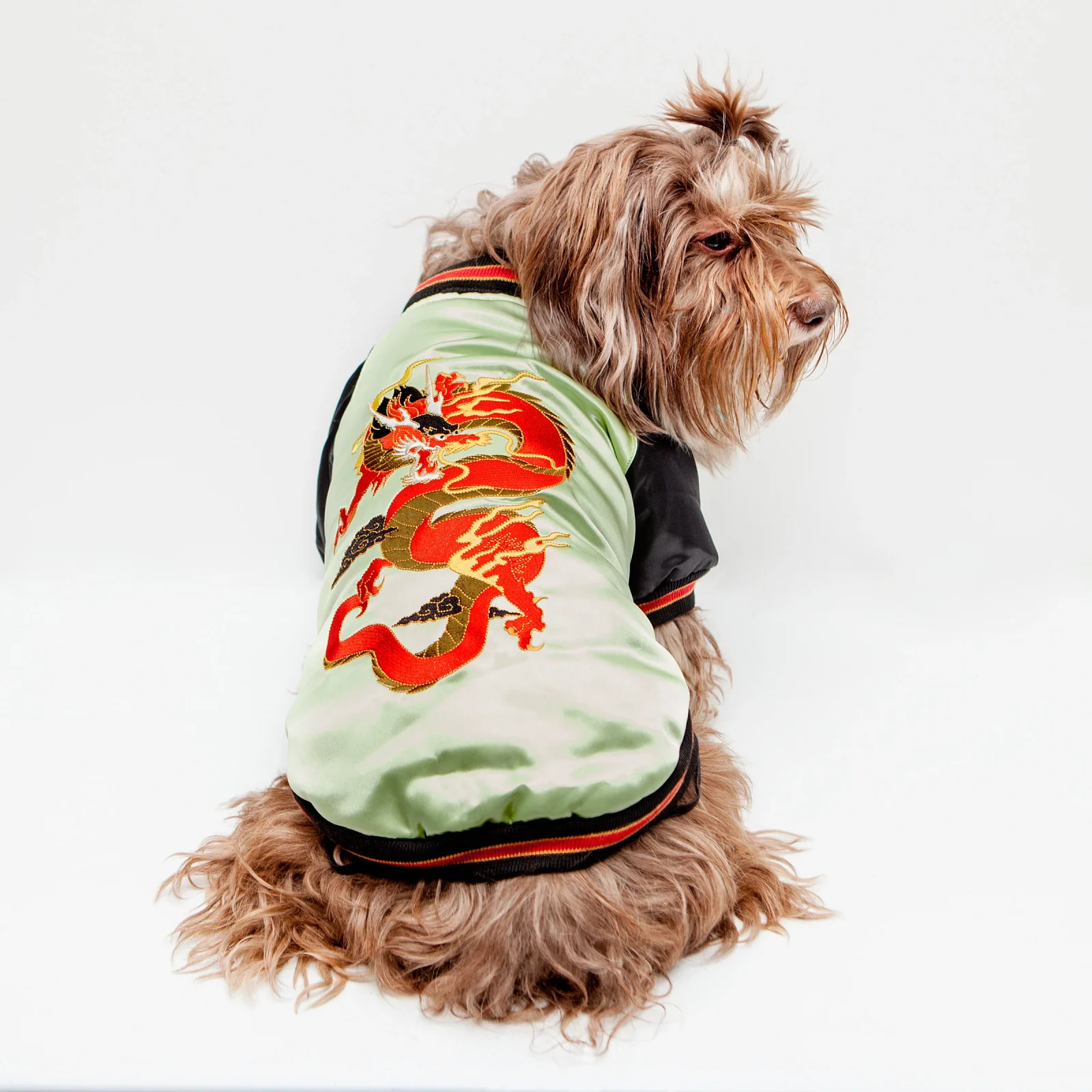 CROCI | Street Dragon Padded Jacket