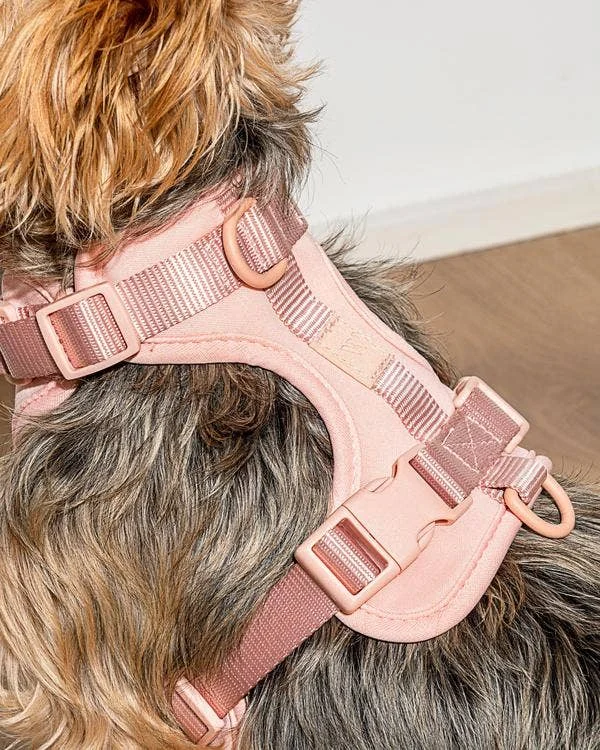 Cushioned Dog Harness in Blush - Image 2