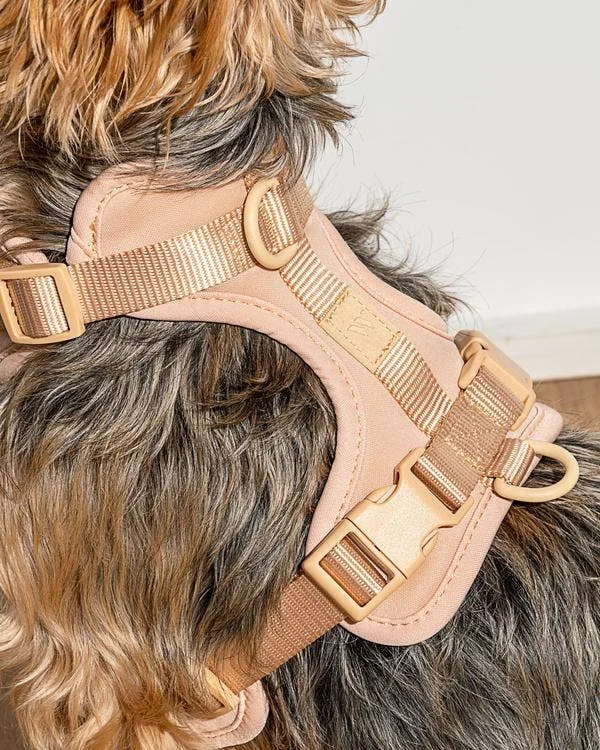 Cushioned Dog Harness in Tan <> - Image 2