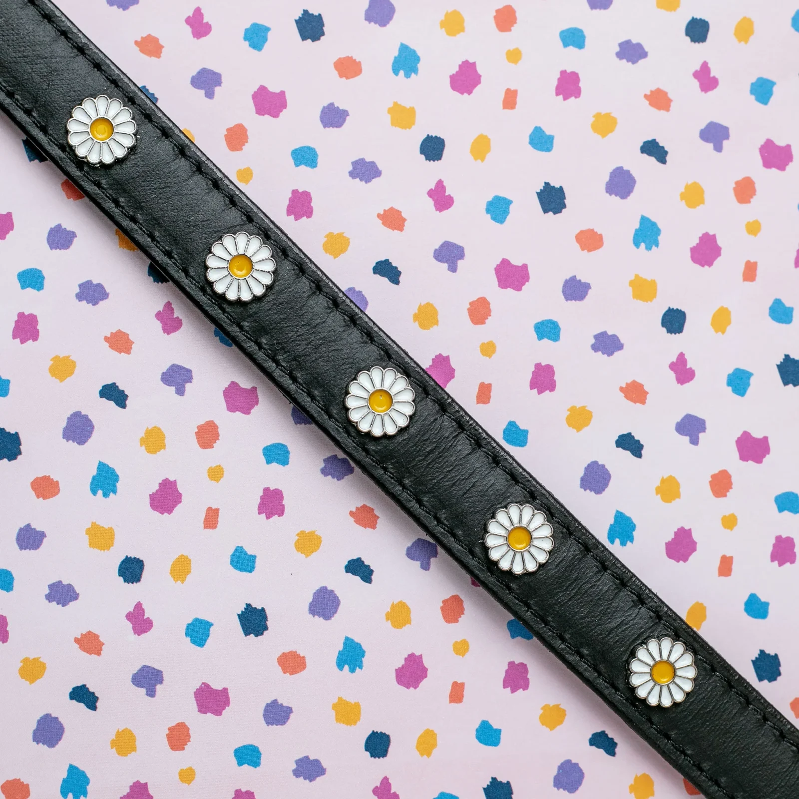 Daisy Dog Collar in Black Leather (Made in the USA) <> - Image 2
