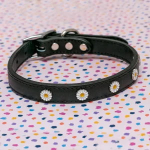 Daisy Dog Collar in Black Leather (Made in the USA) <>