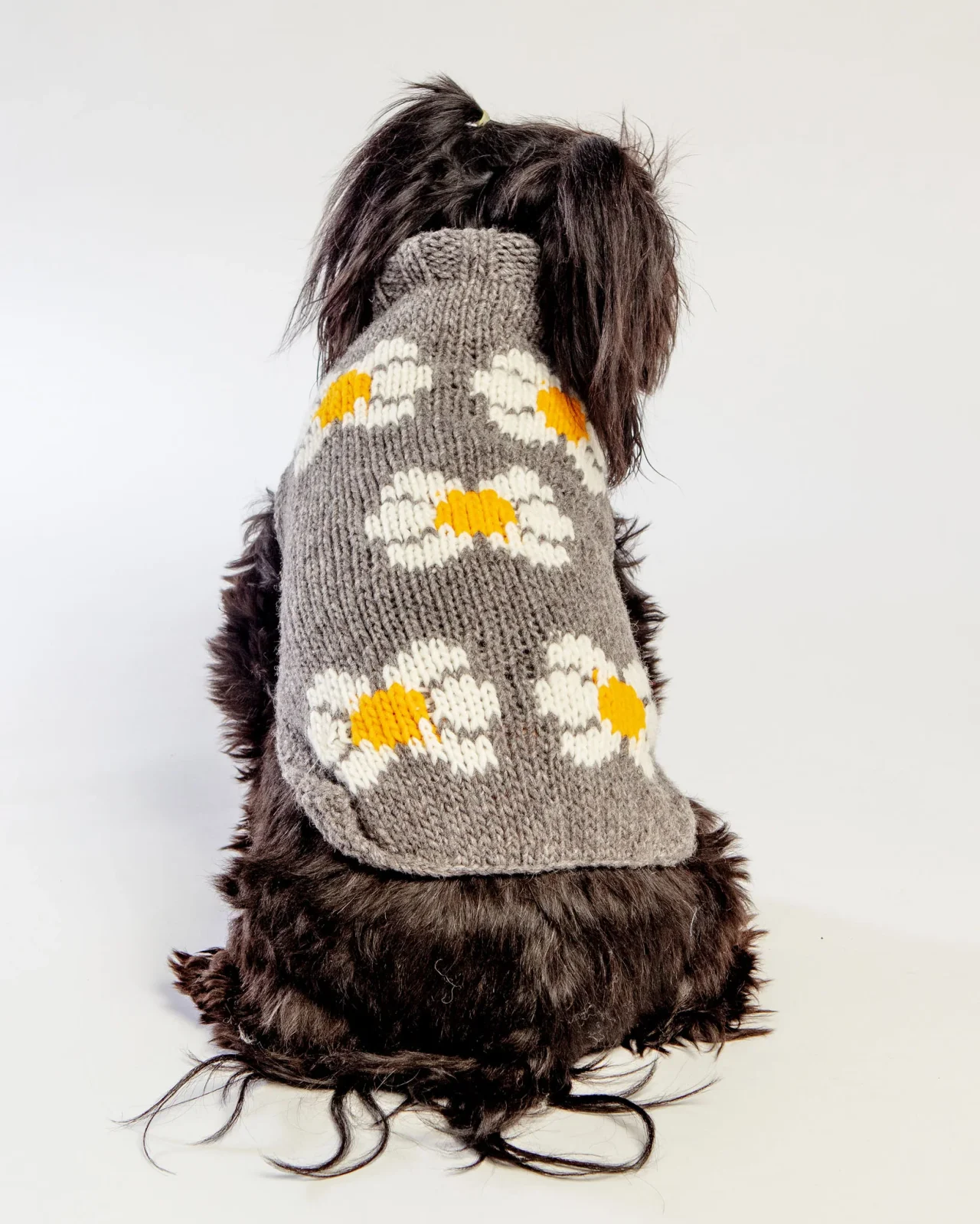 Daisy Wool Knit Dog Sweater <> - Image 2