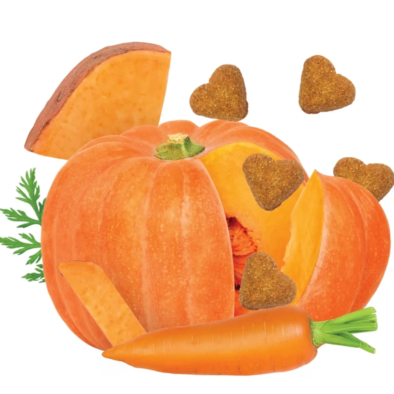 Darford Grain Free Pumpkin & Vegetable Recipe PrePacked Bulk 8 1 lb. - Image 2