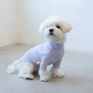 DENTISTS APPOINTMENT | Basic Turtleneck in Light Lavender