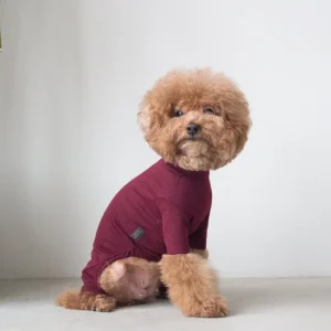 DENTISTS APPOINTMENT | Body Warm All-in-One in Burgundy