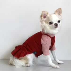 DENTISTS APPOINTMENT | Camisole Dress in Red